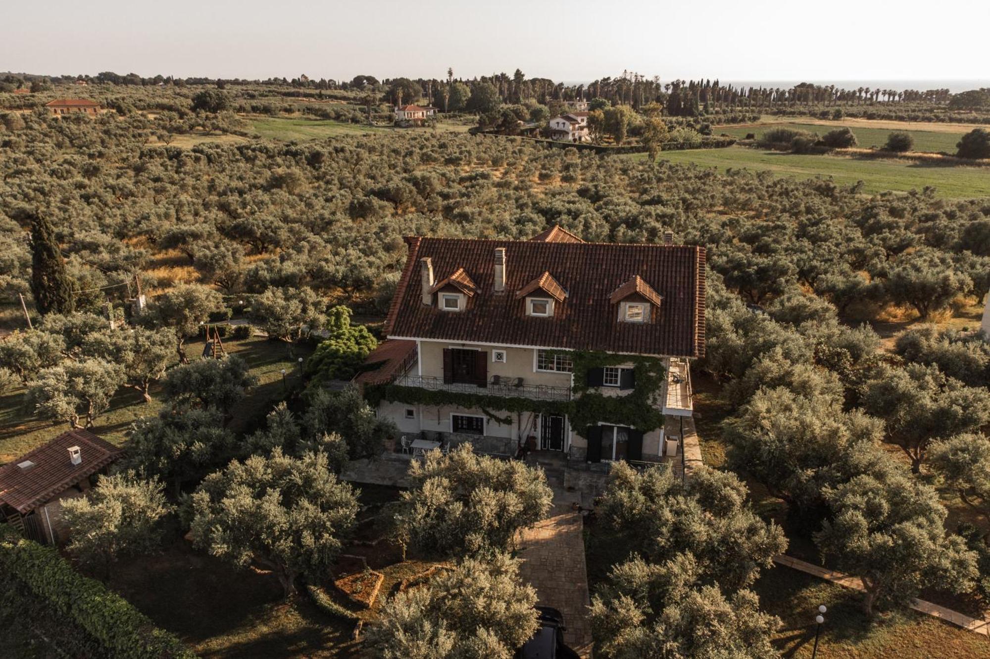 Villa Georgina B&B Katakolo Exteriér fotografie
